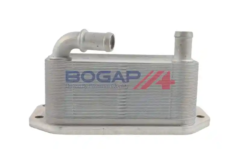 BOGAP V4222104