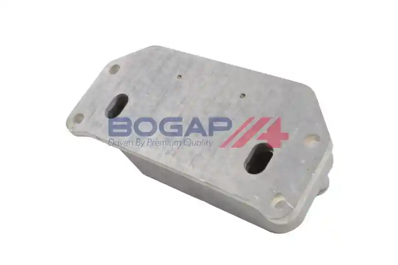 BOGAP V4222104