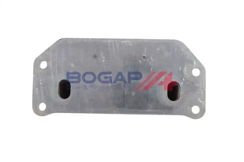 BOGAP V4222104