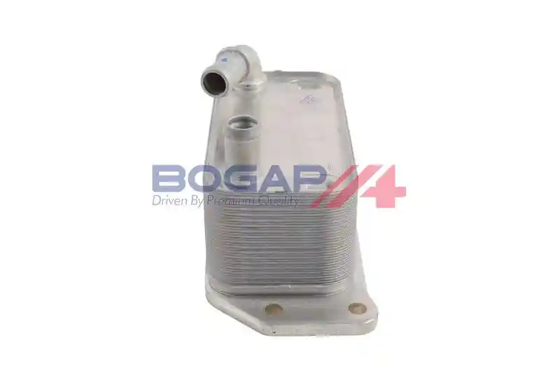 BOGAP V4222104
