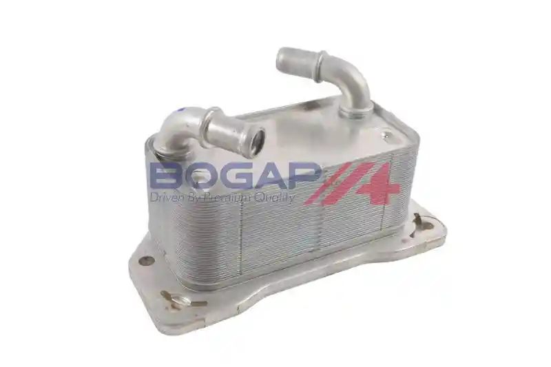BOGAP V4222105