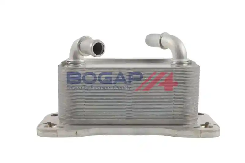 BOGAP V4222105