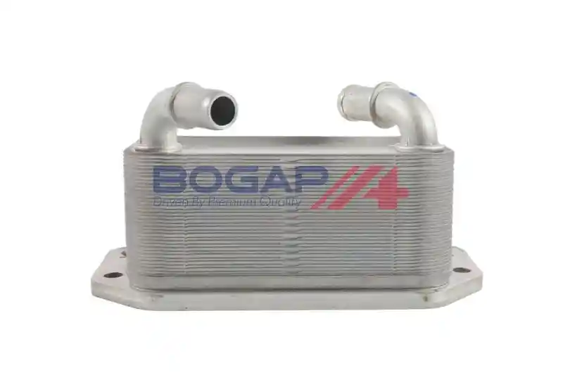 BOGAP V4222105