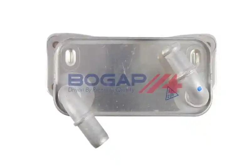 BOGAP V4222105