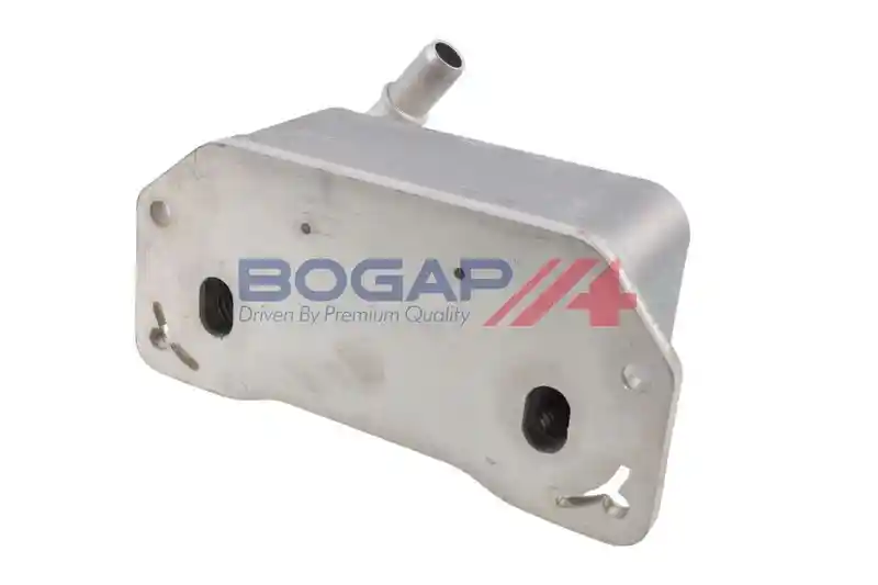 BOGAP V4222105