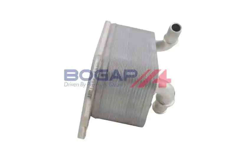BOGAP V4222105