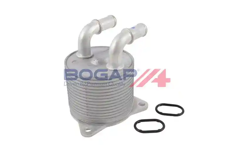 BOGAP V4222107 BOGAP V4222107