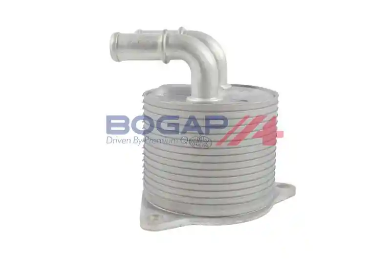 BOGAP V4222107 BOGAP V4222107