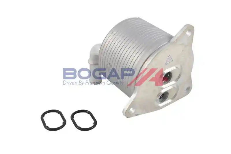 BOGAP V4222107 BOGAP V4222107