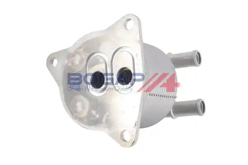 BOGAP V4222107 BOGAP V4222107