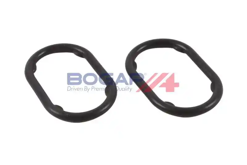 BOGAP V4222107 BOGAP V4222107