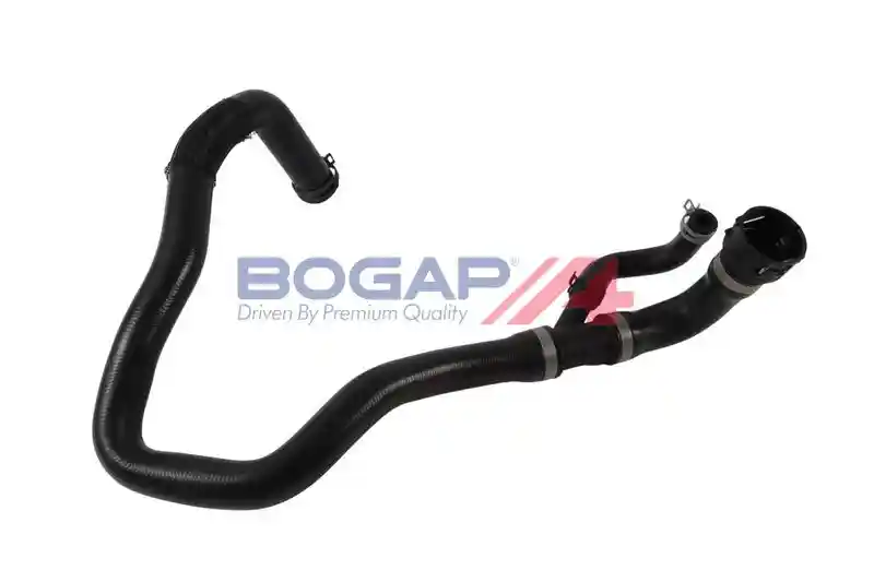 BOGAP V4228130