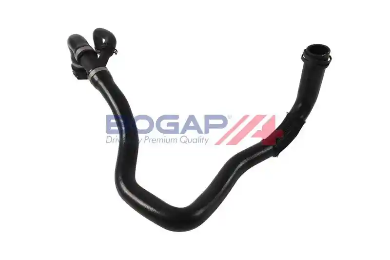 BOGAP V4228130