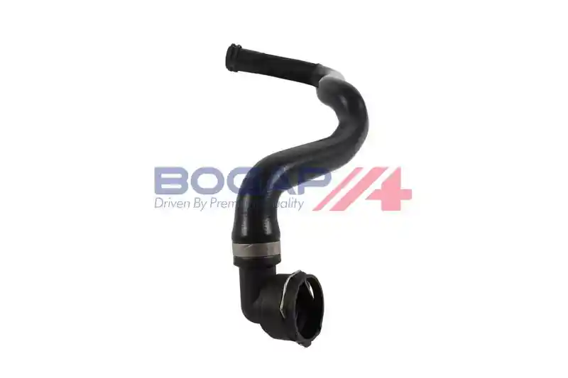 BOGAP V4228138