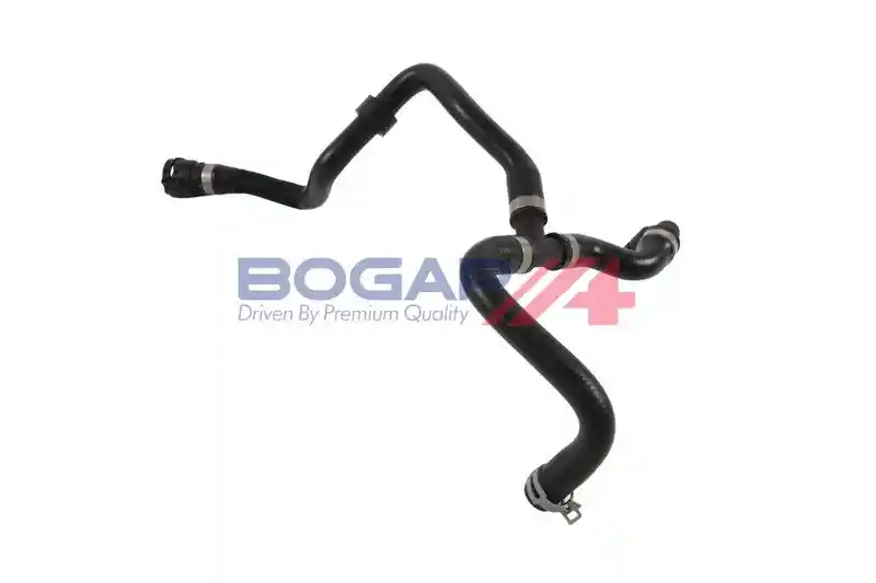 BOGAP V4228141