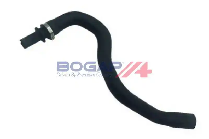 BOGAP V4228143