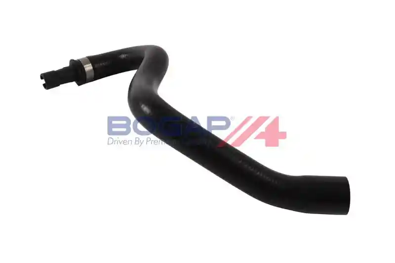BOGAP V4228143