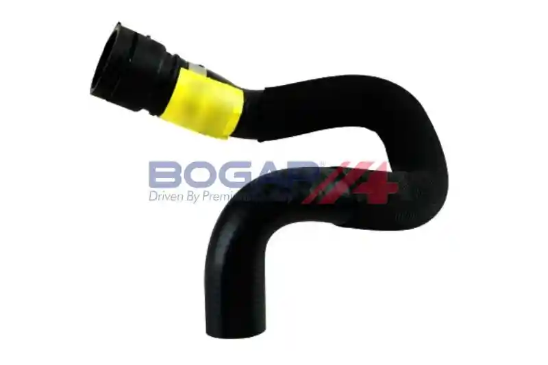 BOGAP V4228145