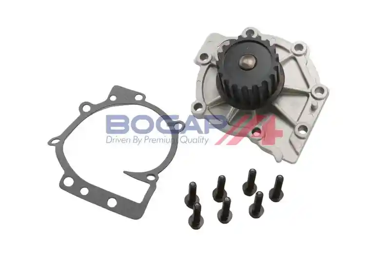 BOGAP V4234100 BOGAP V4234100