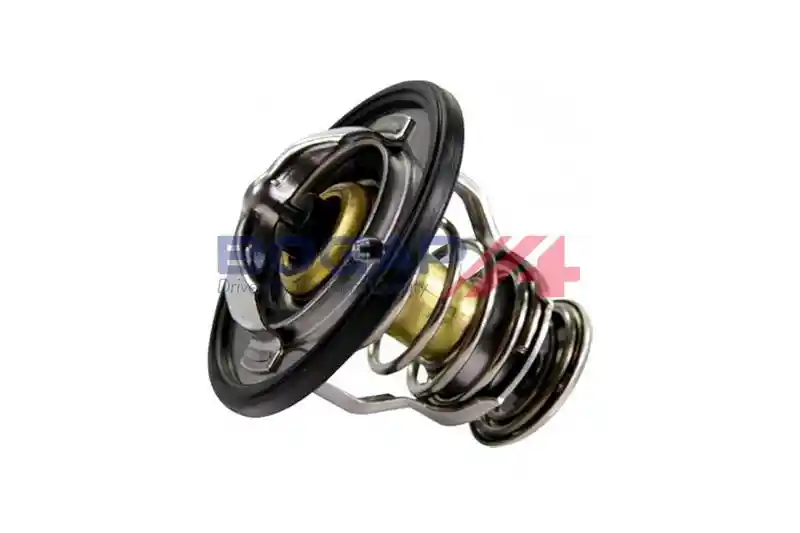 BOGAP V4234107