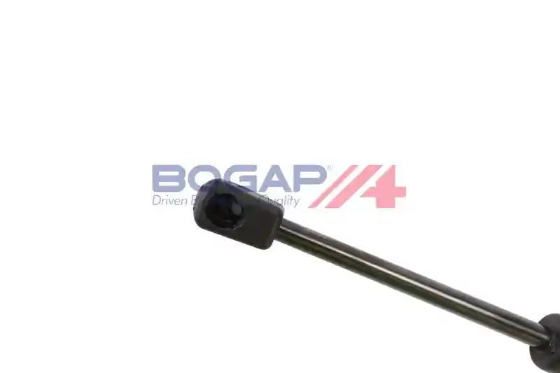 BOGAP V5134103