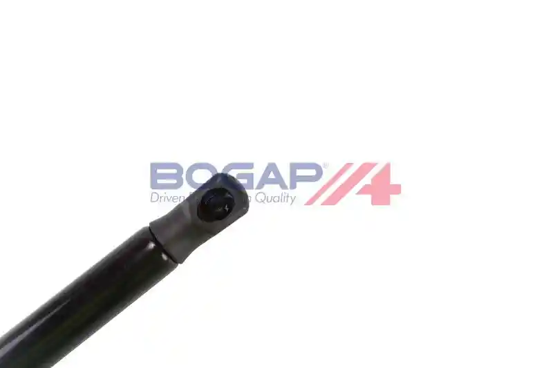 BOGAP V5134103