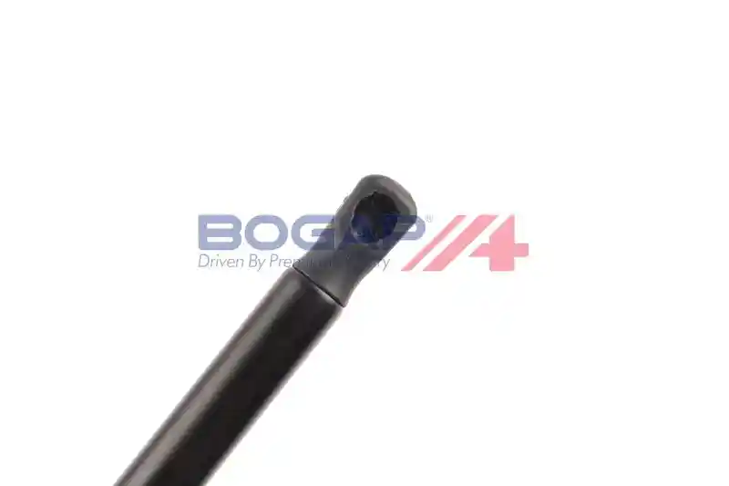 BOGAP V5134103