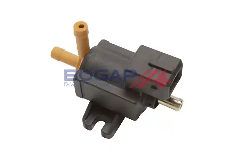 BOGAP V6313102