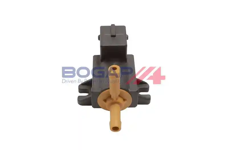 BOGAP V6313102