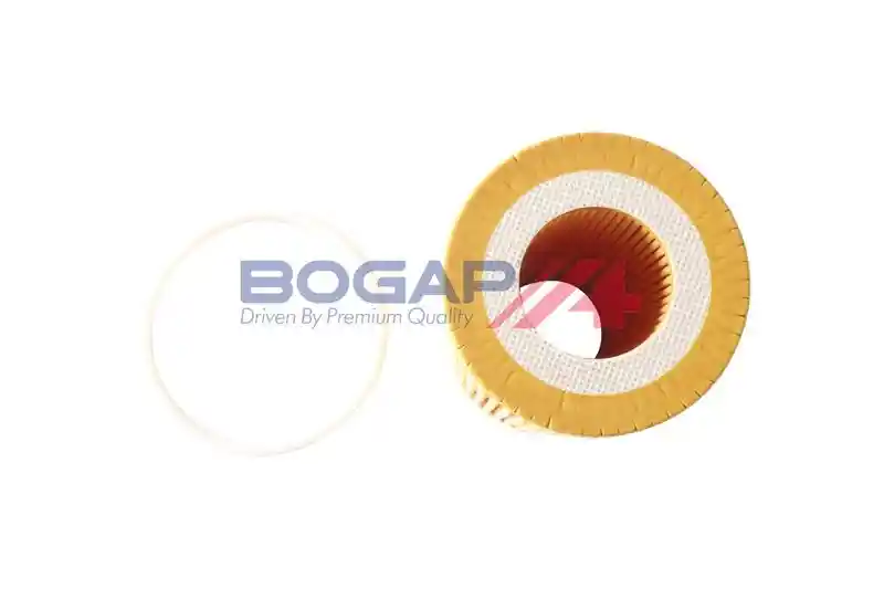 BOGAP V8113101