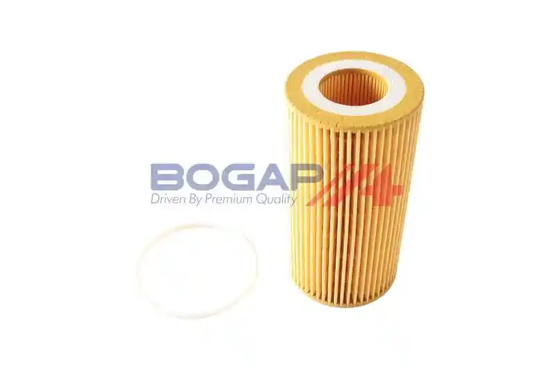 BOGAP V8113101