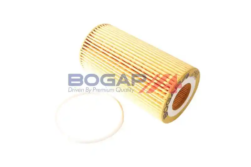 BOGAP V8113101