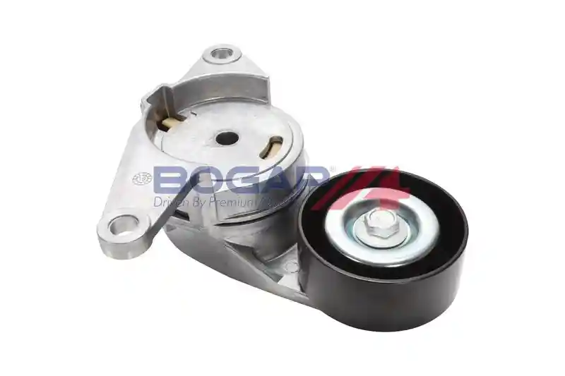 BOGAP W1317106