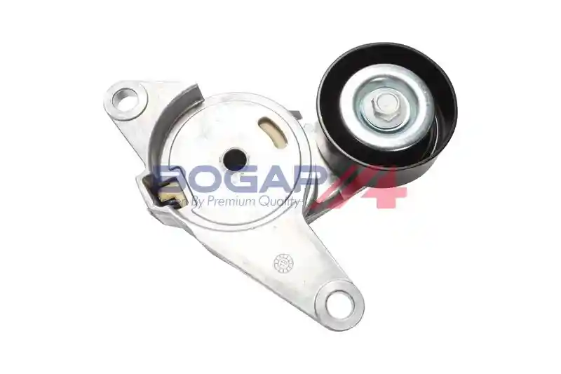 BOGAP W1317106