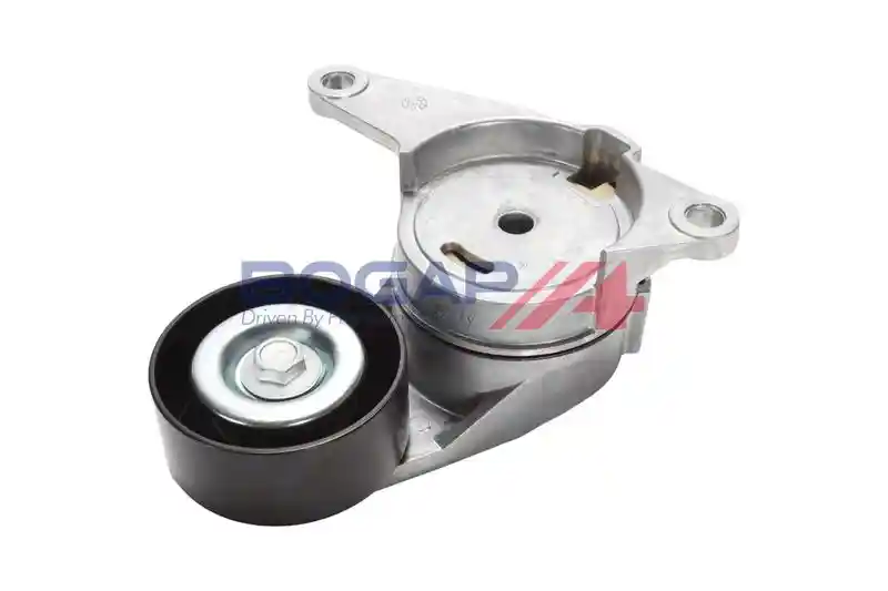 BOGAP W1317106