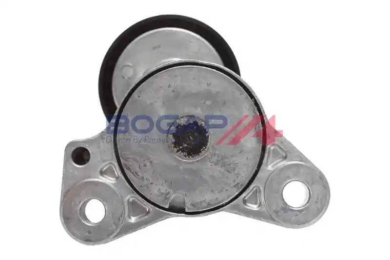 BOGAP W1317109 BOGAP W1317109