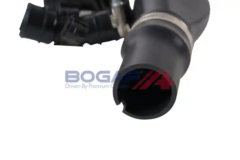 BOGAP W1711113 BOGAP W1711113