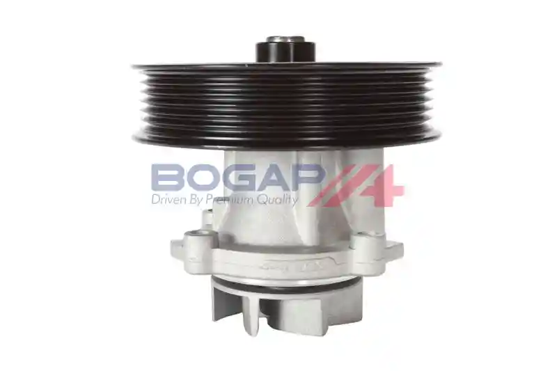 BOGAP W4234118 BOGAP W4234118