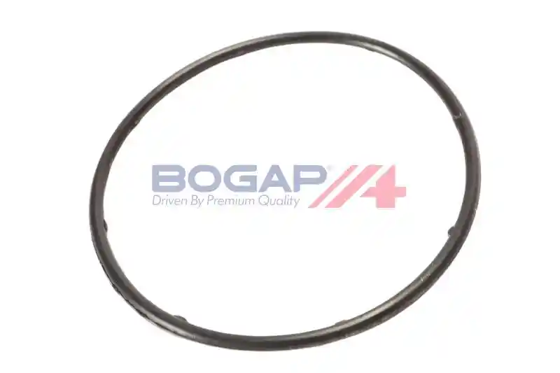 BOGAP W4234118 BOGAP W4234118