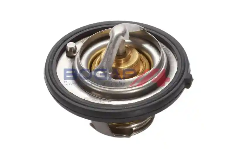 BOGAP W4245113 BOGAP W4245113