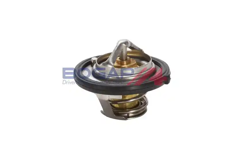 BOGAP W4245113 BOGAP W4245113