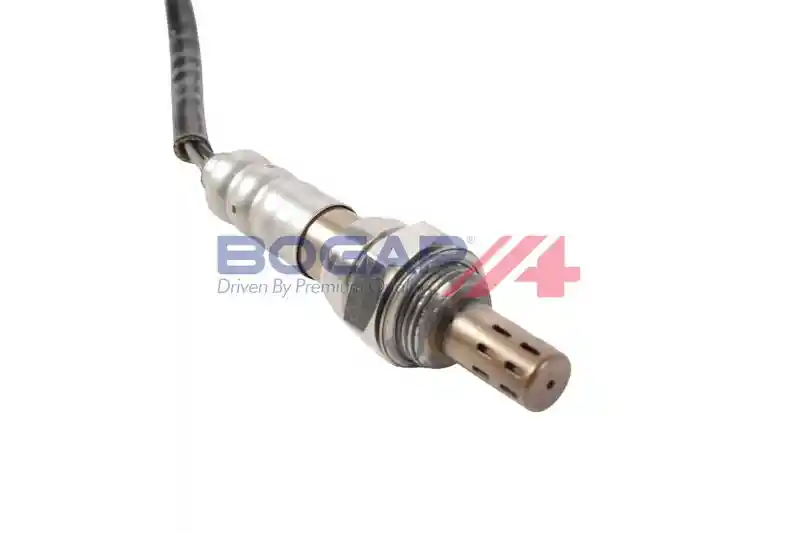BOGAP W6119102