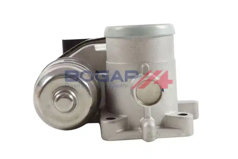 BOGAP W6319113 BOGAP W6319113
