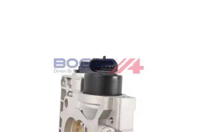 BOGAP W6319122 BOGAP W6319122