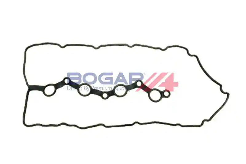BOGAP Y1118117