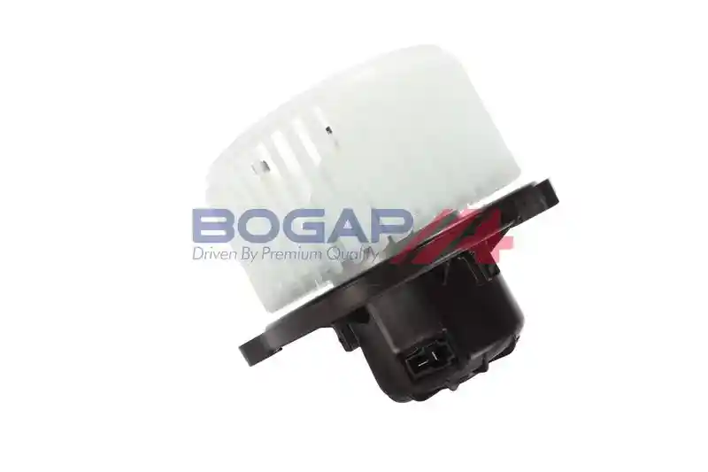 BOGAP Y4111101