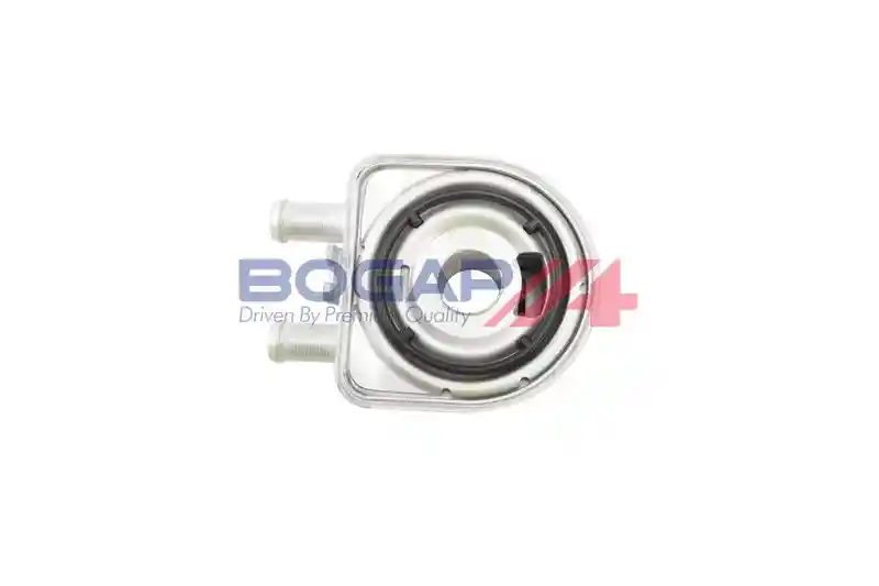 BOGAP Y4222100 BOGAP Y4222100