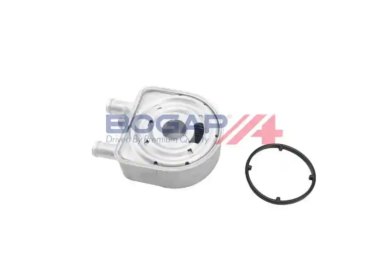 BOGAP Y4222100 BOGAP Y4222100