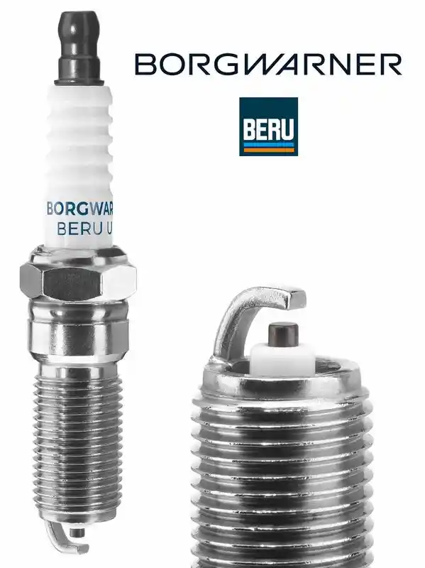 BorgWarner (BERU) Z177