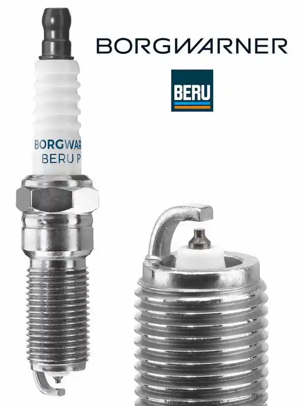 BorgWarner (BERU) Z517